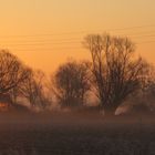 Sonnenaufgang...einige 