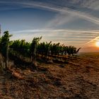 Sonnenaufgang_Flaggenturm