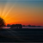 _sonnenaufgang_in_den_Elbtalauen_