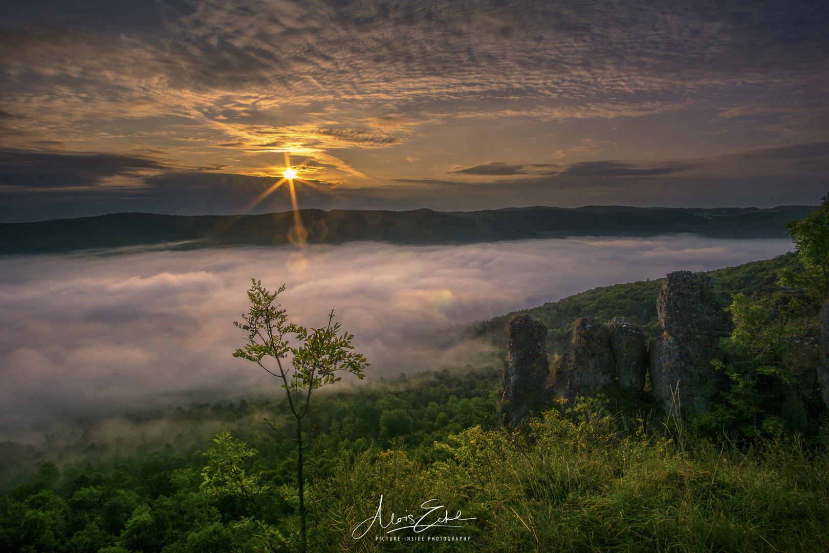 Sonnenaufgang:Nebel