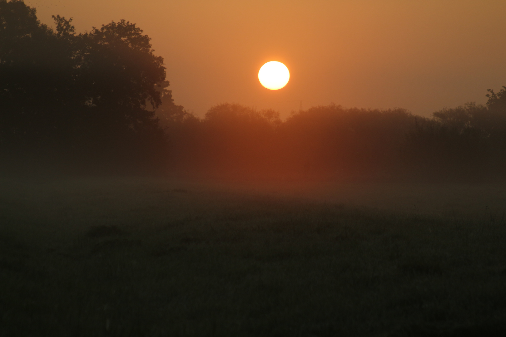 Sonnenaufgang_Pinneberg