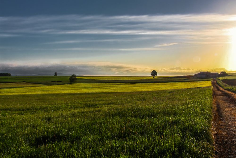 Sonnenaufgangsfelder