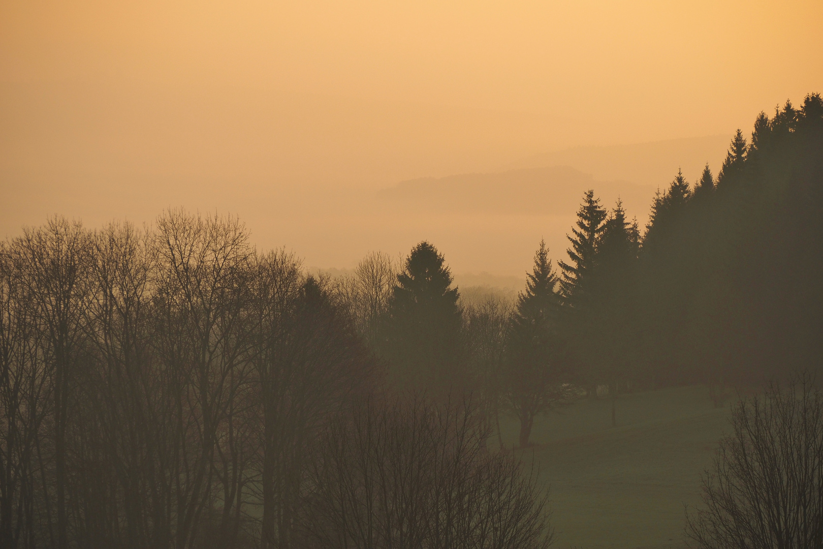 Sonnen:aufgangs:nebel