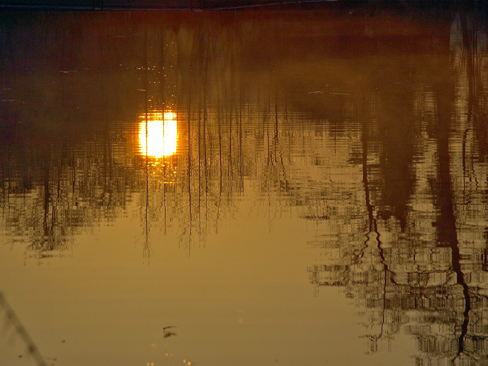 Sonnenaufgang/Spiegelung