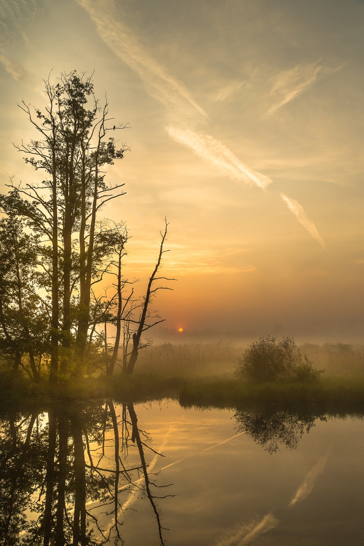 Sonnenaufgang:Spreewald