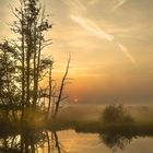 Sonnenaufgang:Spreewald