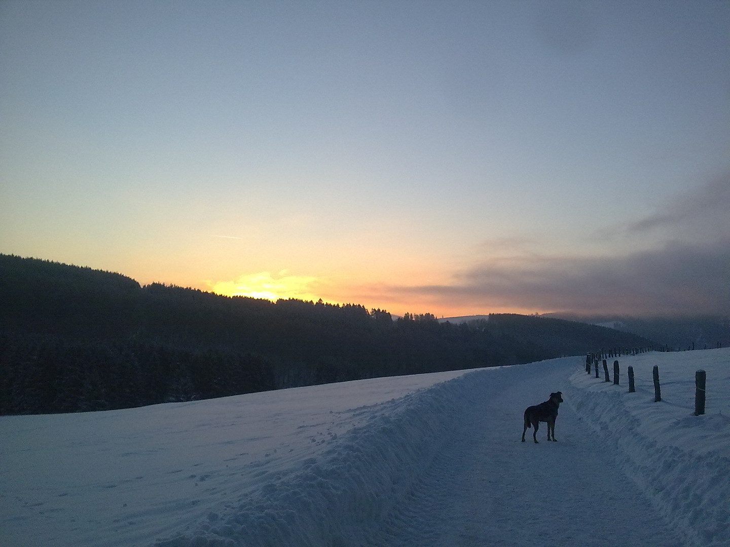 Sonnenaufgangsstimmung 2/4