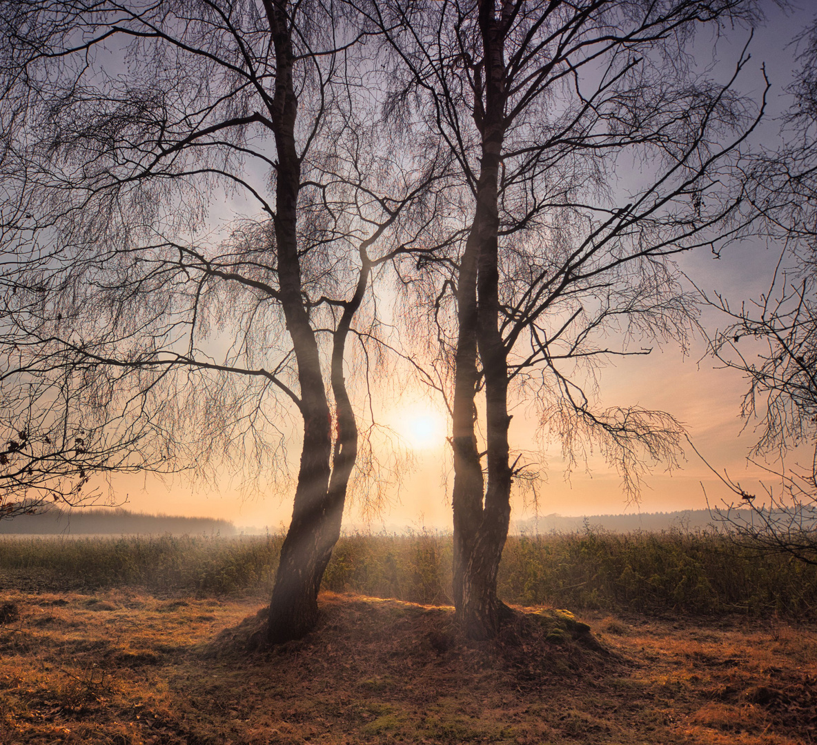 Sonnenaufgangsstimmung