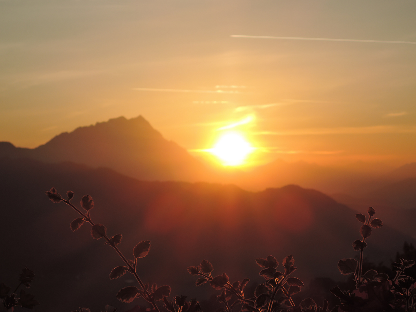 Sonnenaugang in Gumpenberg