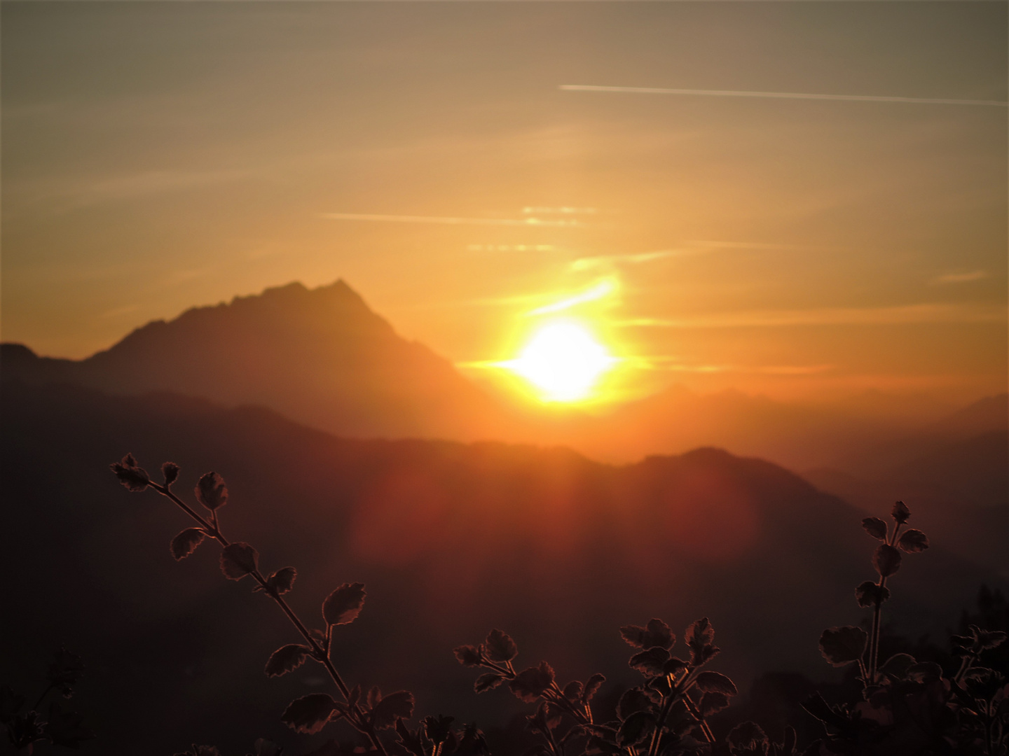 Sonnenaugang in Gumpenberg