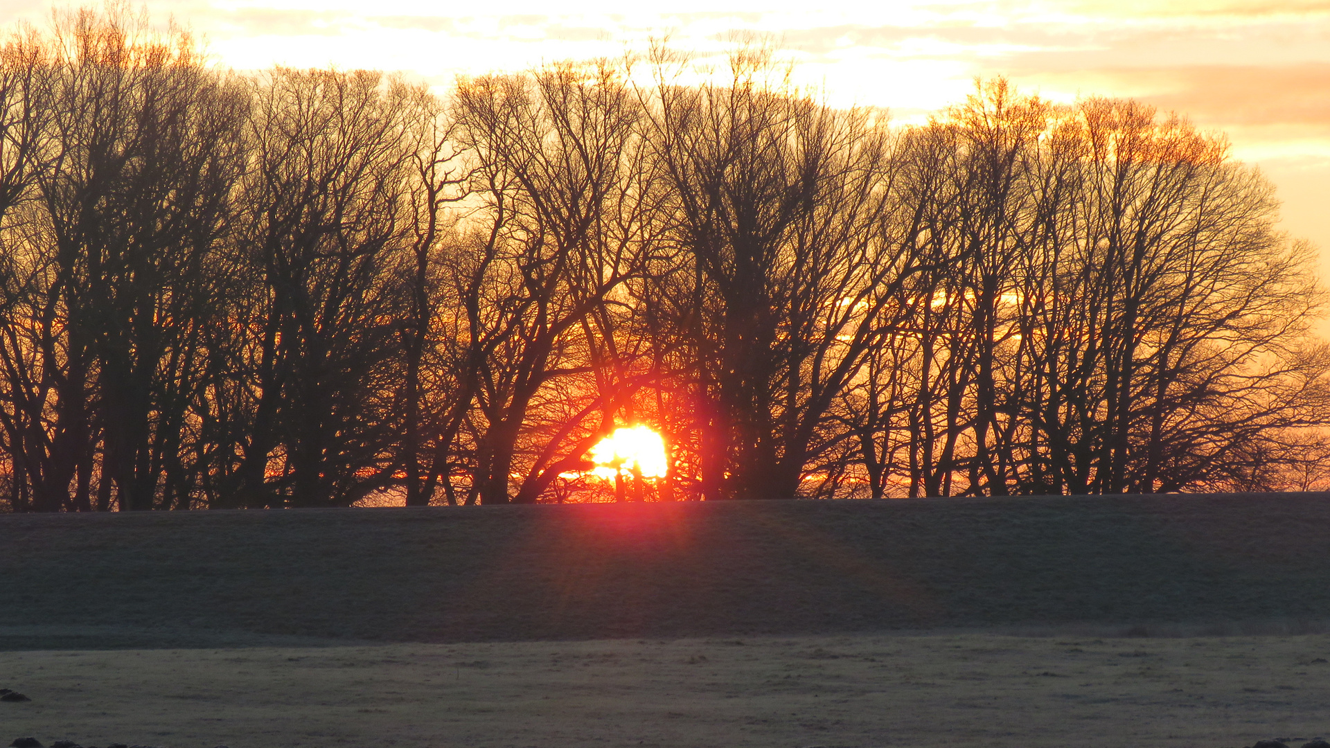 Sonnenaugang überm Deich...