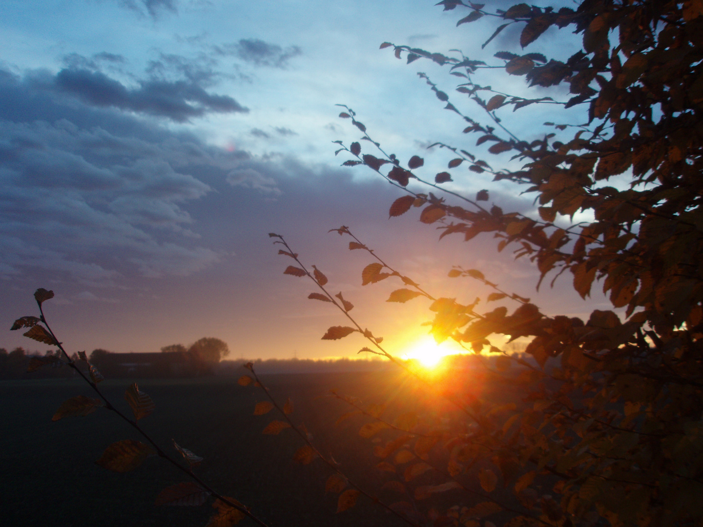 Sonnenausgang