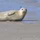 Helgoland