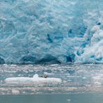 "Sonnenbad" am Aialik Glacier in Alaska 