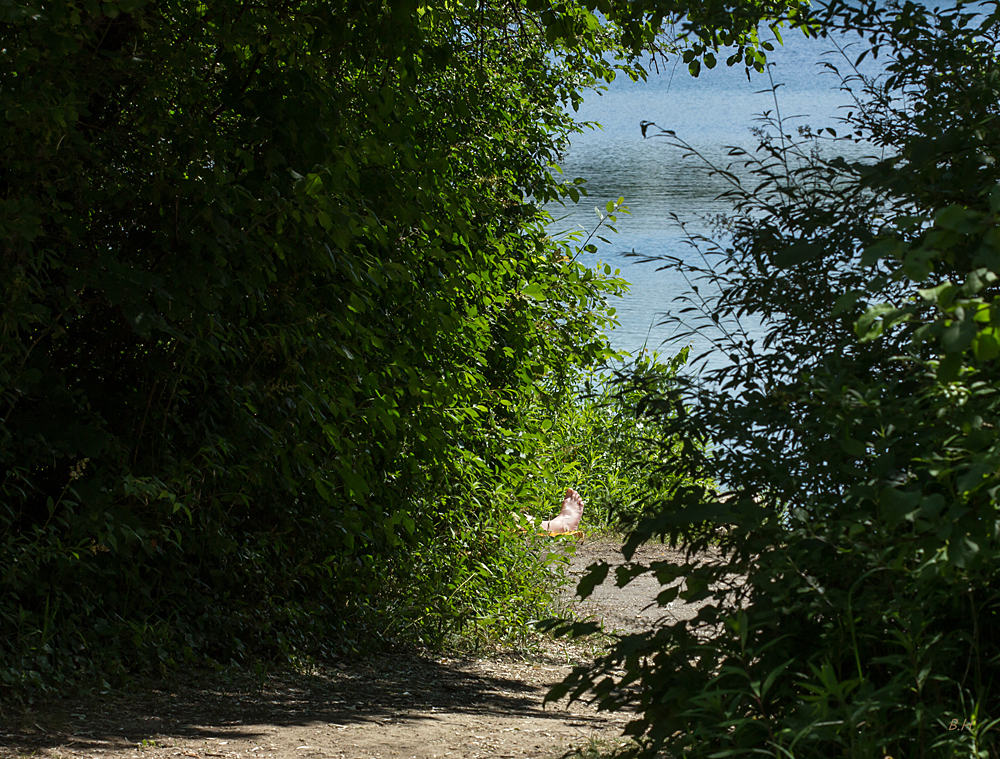 Sonnenbad am Baggersee