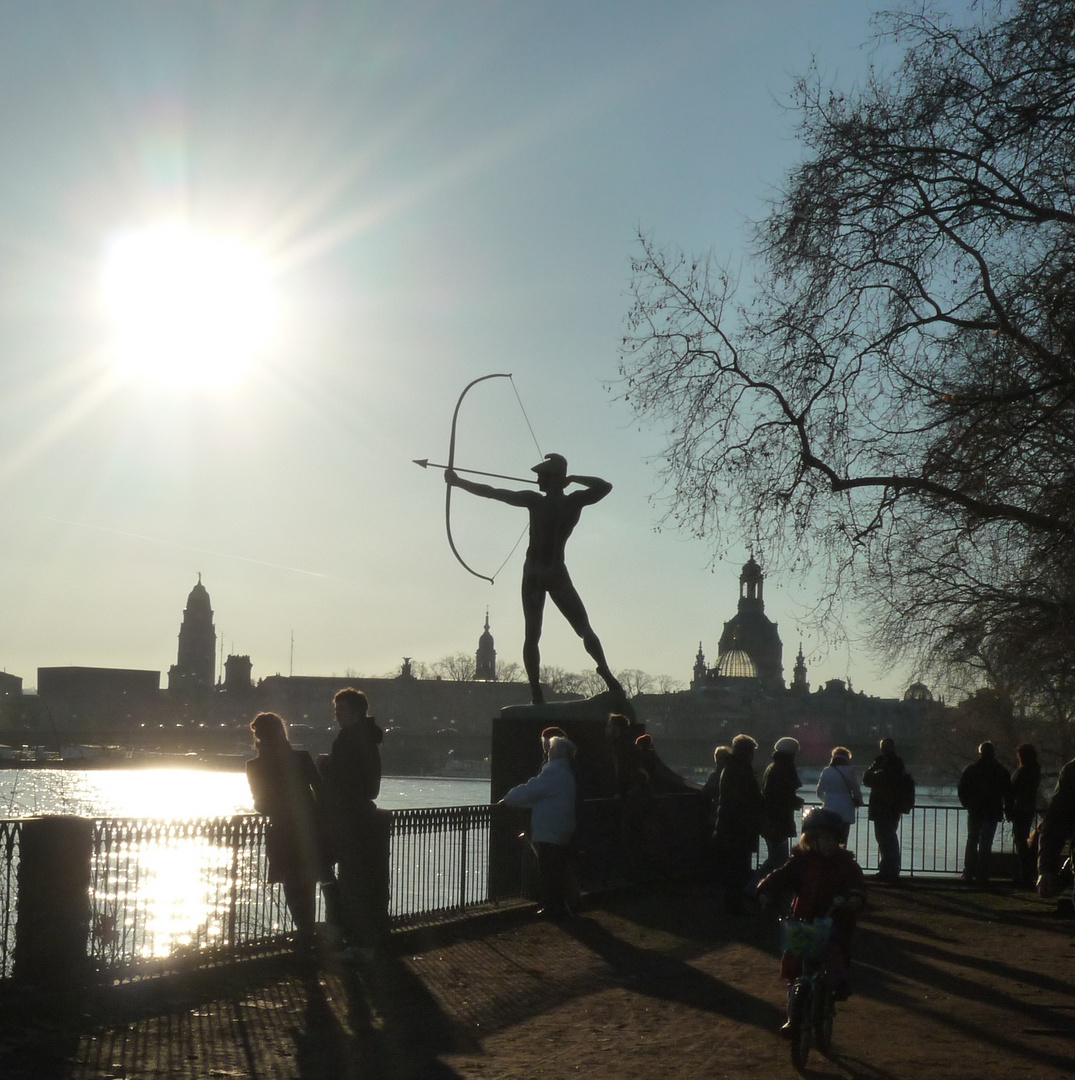 Sonnenbad am Elbufer in Dresden