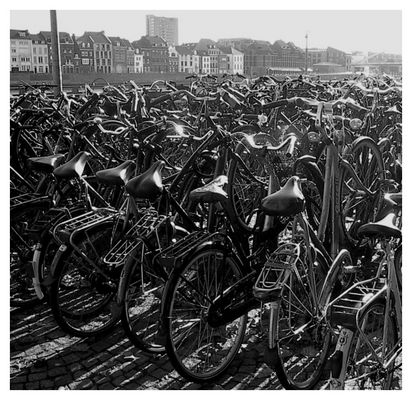 Sonnenbad der Hollandräder