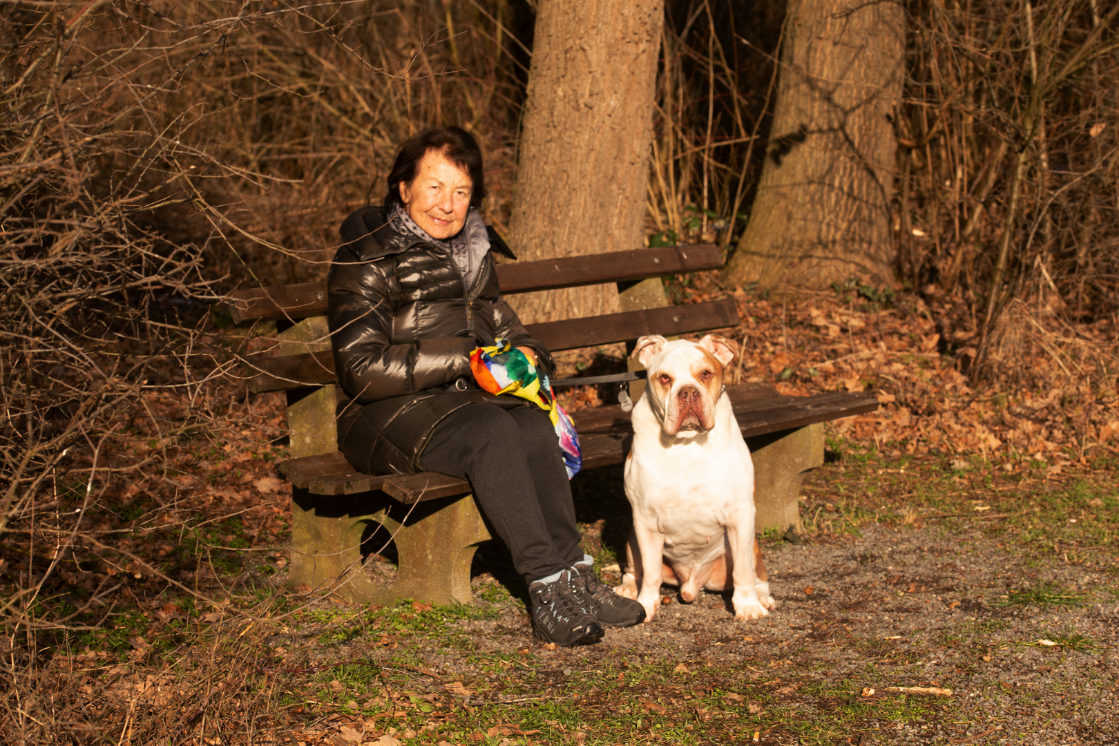 Sonnenbad im Januar