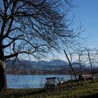 Sonnenbad im Januar