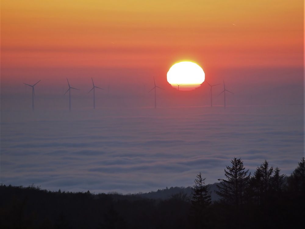 "Sonnenbad" im Nebelmeer