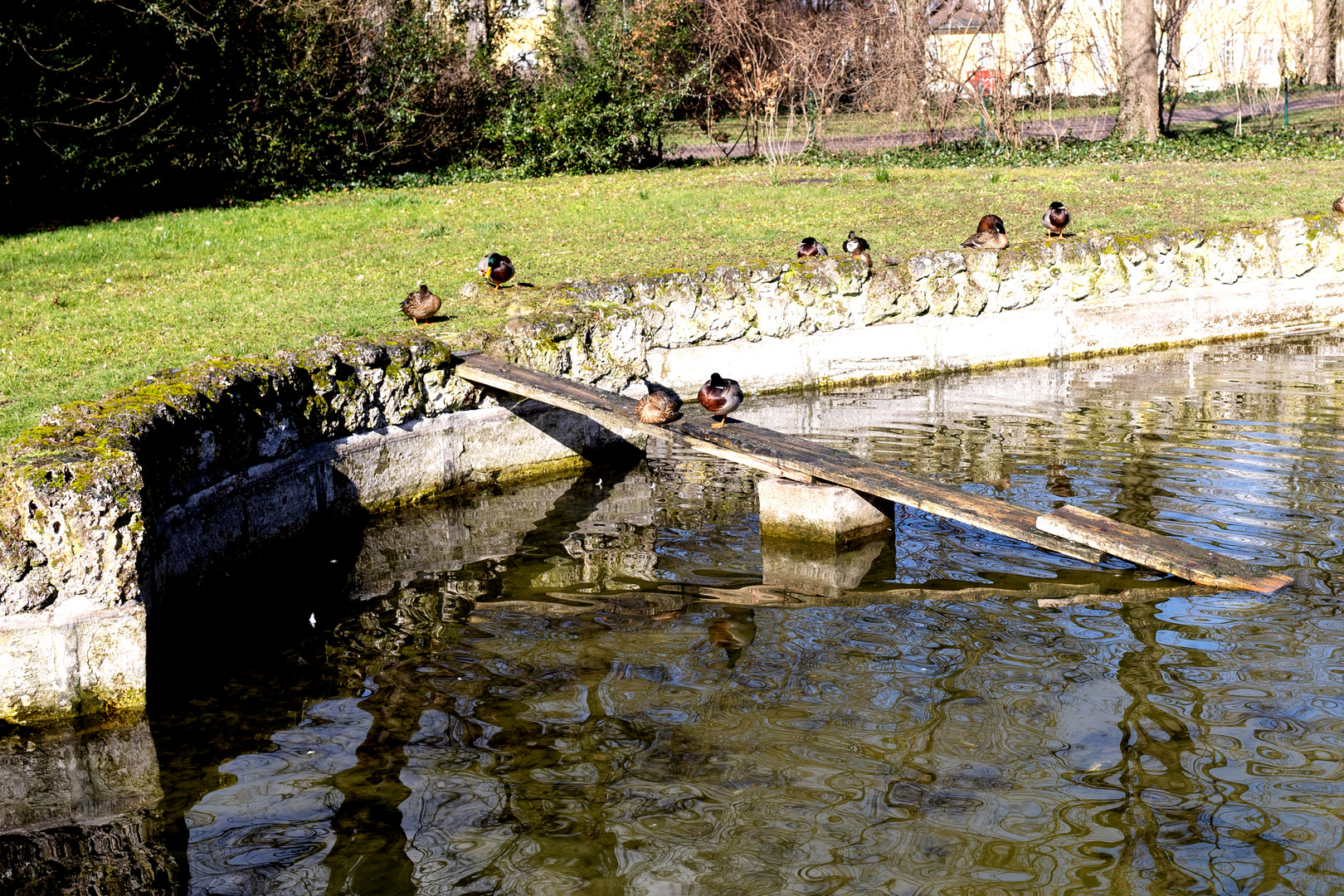 Sonnenbad im Schlossgarten