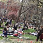 sonnenbad im washington square park