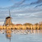 Sonnenbad in Kinderdijk