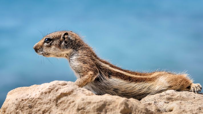 Sonnenbad mit Aussicht
