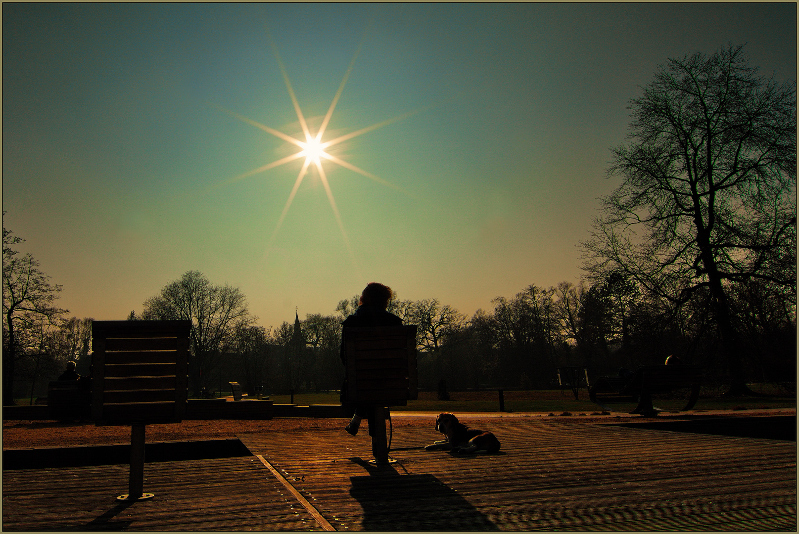 Sonnenbad mit Hund