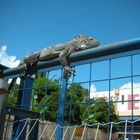 Sonnenbad vor dem Supermarkt