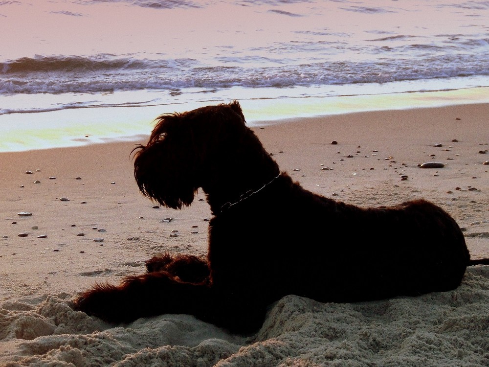 Sonnenbaden am Strand