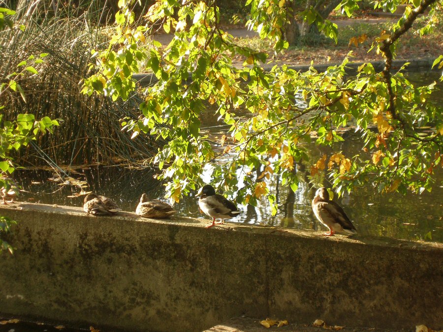 sonnenbaden