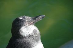 Sonnenbaden?...gefällt mir :-))