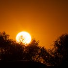 Sonnenball-0328