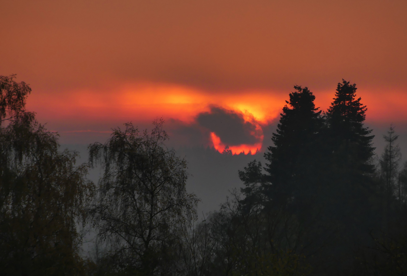 Sonnenball am Abend