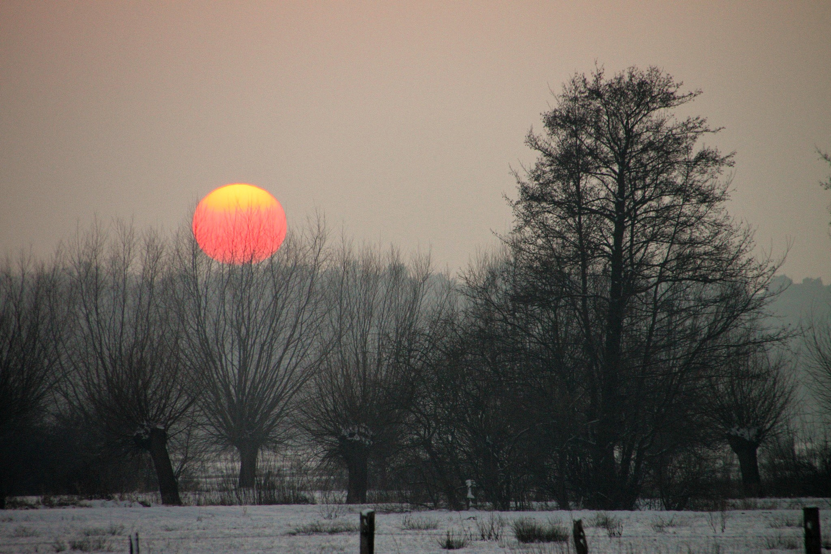 Sonnenball am kalten Abend