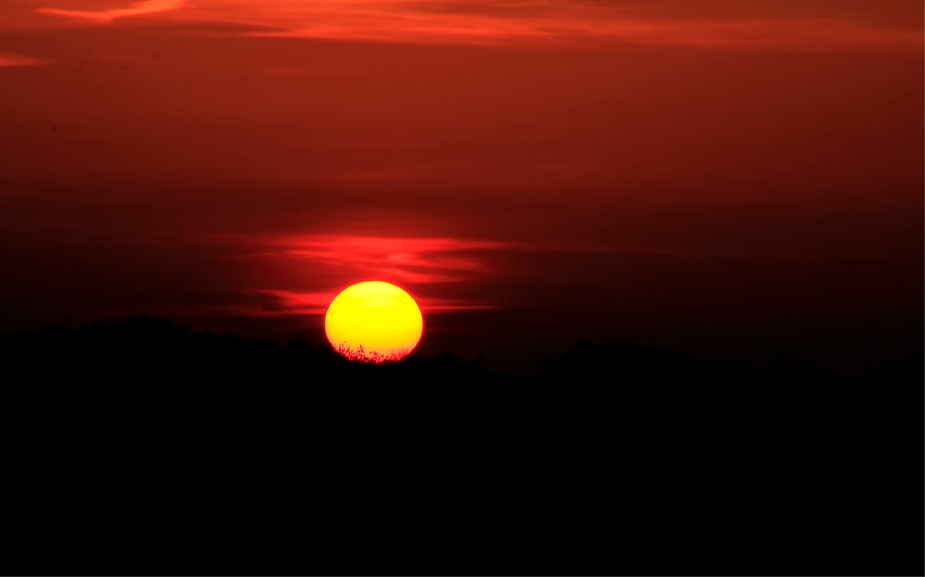 Sonnenball in Lietzen