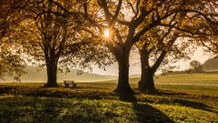 Sonnenbank