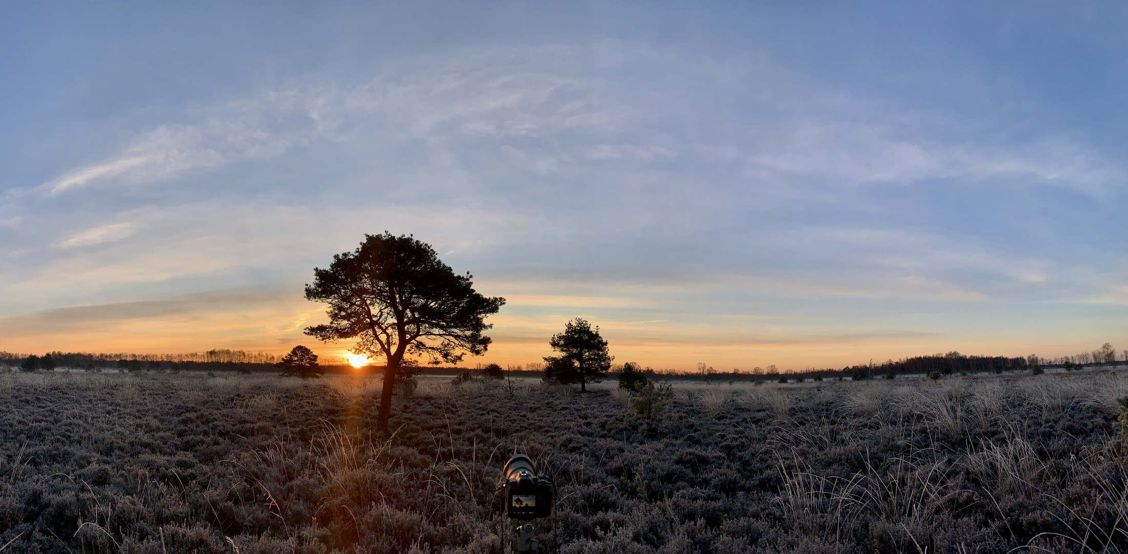 Sonnenbaum - kleines Pano - making of 