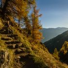 Sonnenberg bei Naturn ins Südtirol