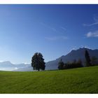 Sonnenberg mit Blick auf Pilatus