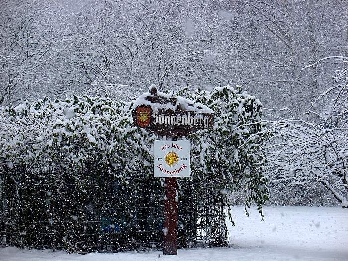 Sonnenberg ::: Wir wollen Sonne!