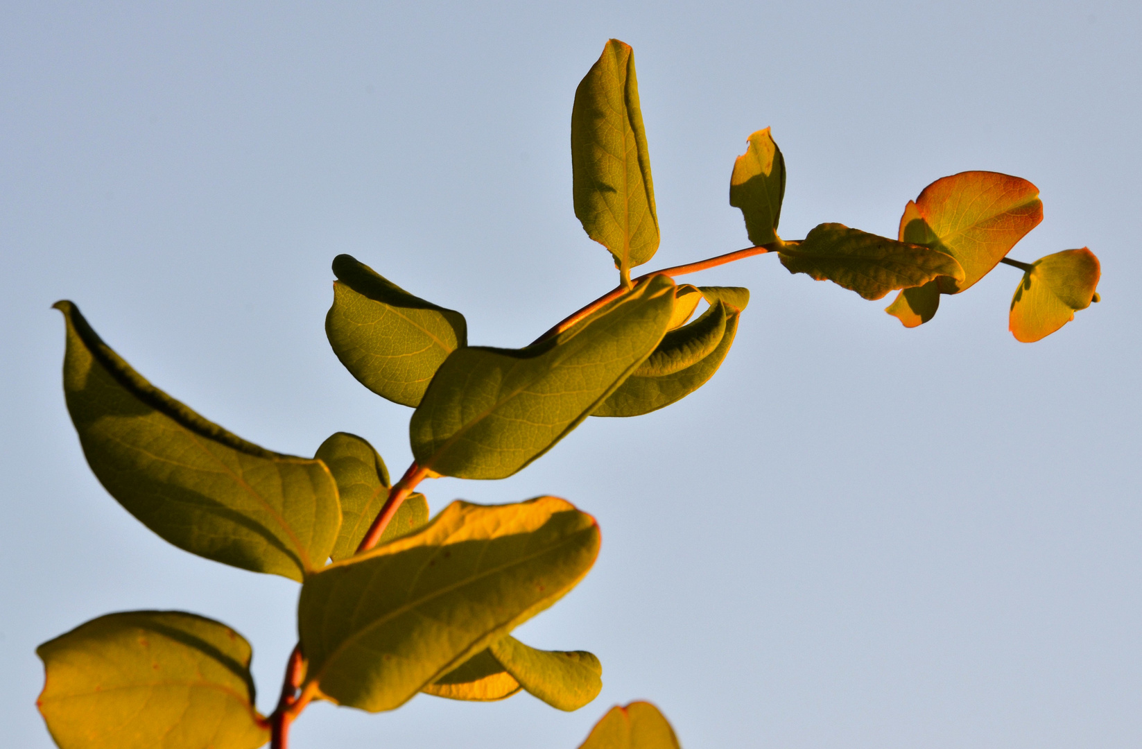 Sonnenbeschienen