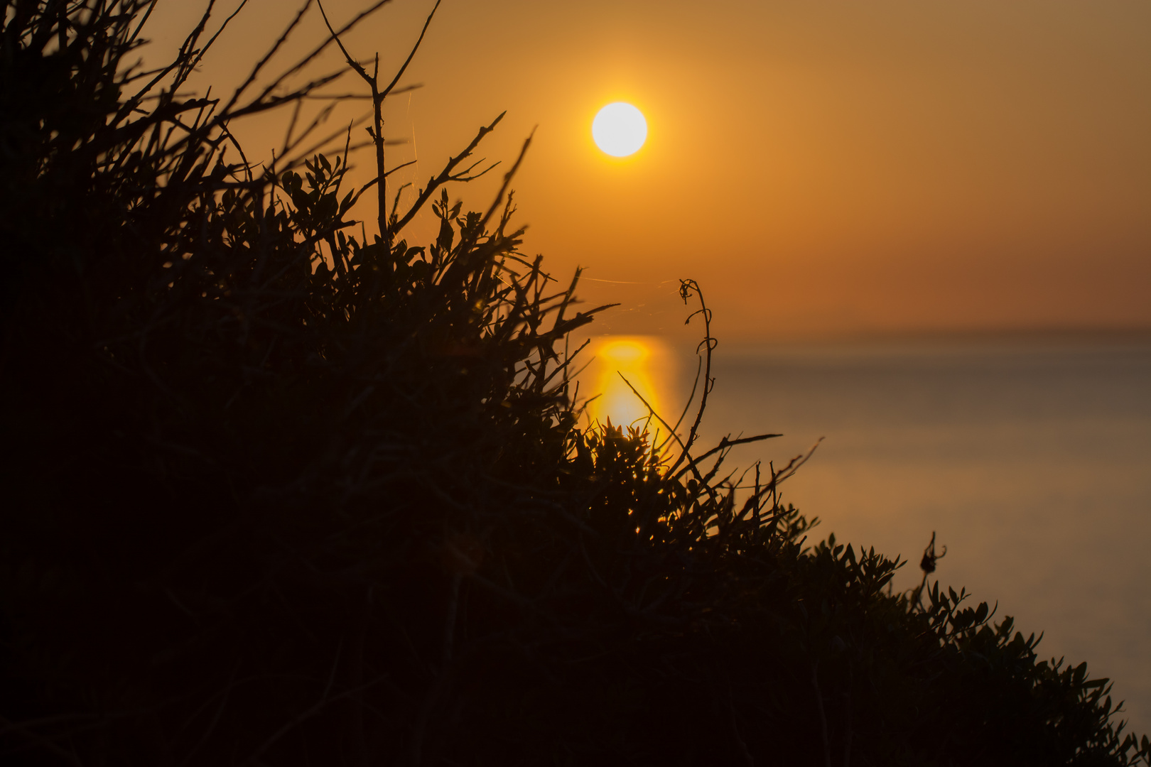 Sonnenblick