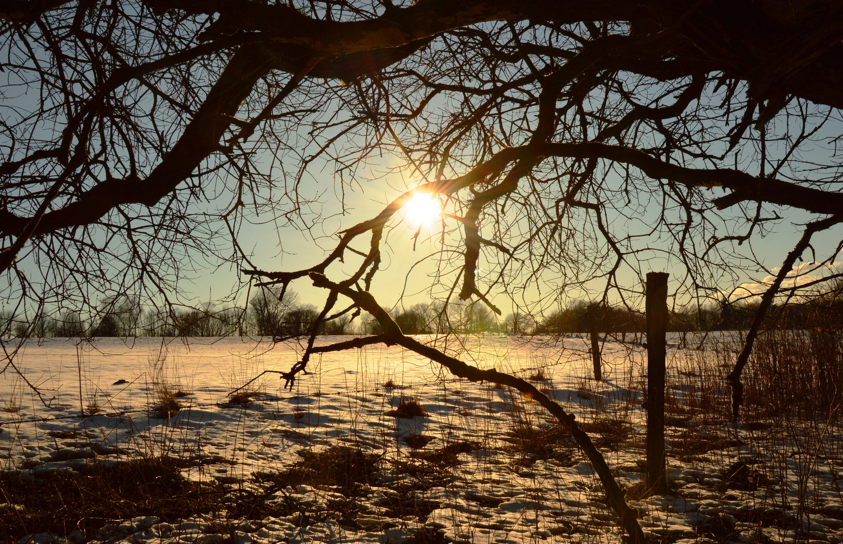 Sonnenblick