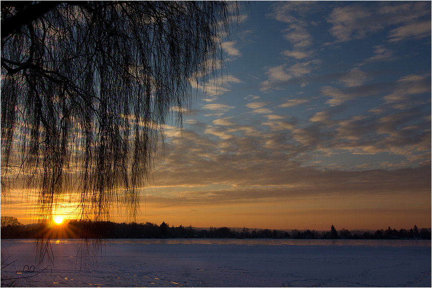 Sonnenblinzeln