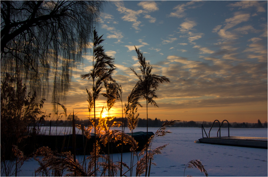 Sonnenblinzeln II