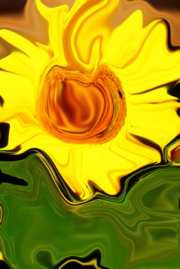 Sonnenblume