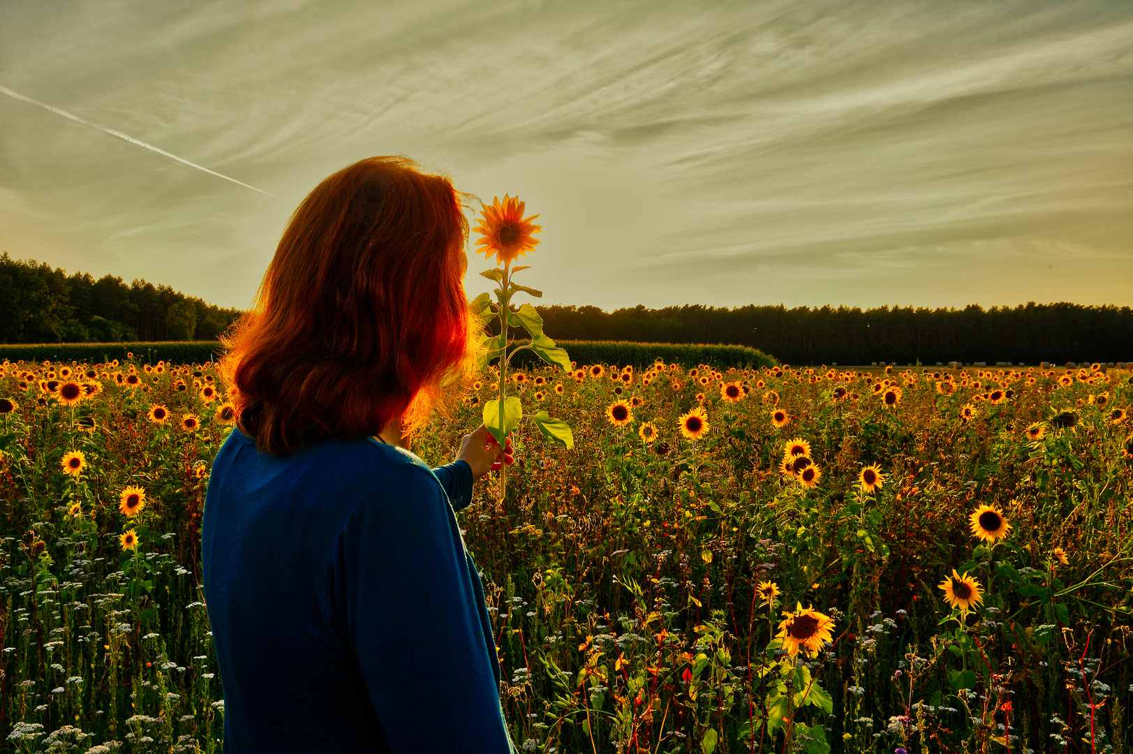 SonnenBlume