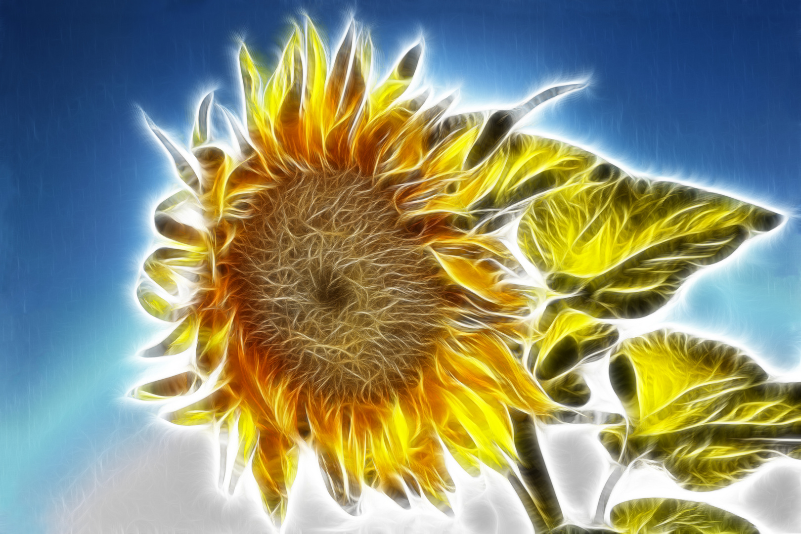 Sonnenblume fraktal